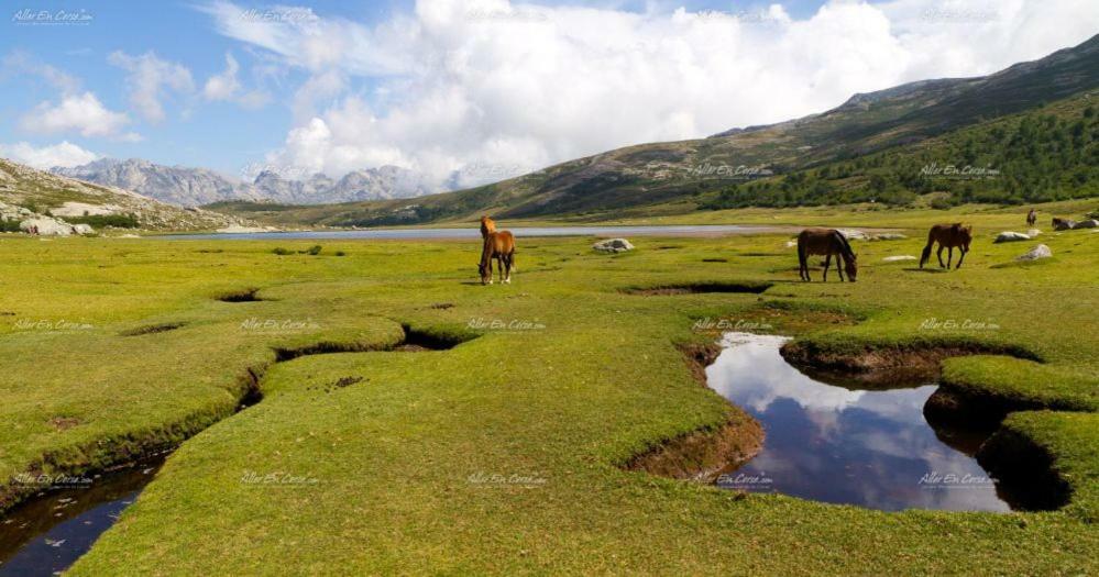 Residence Acqua Linda Porticcio Портіччо Екстер'єр фото